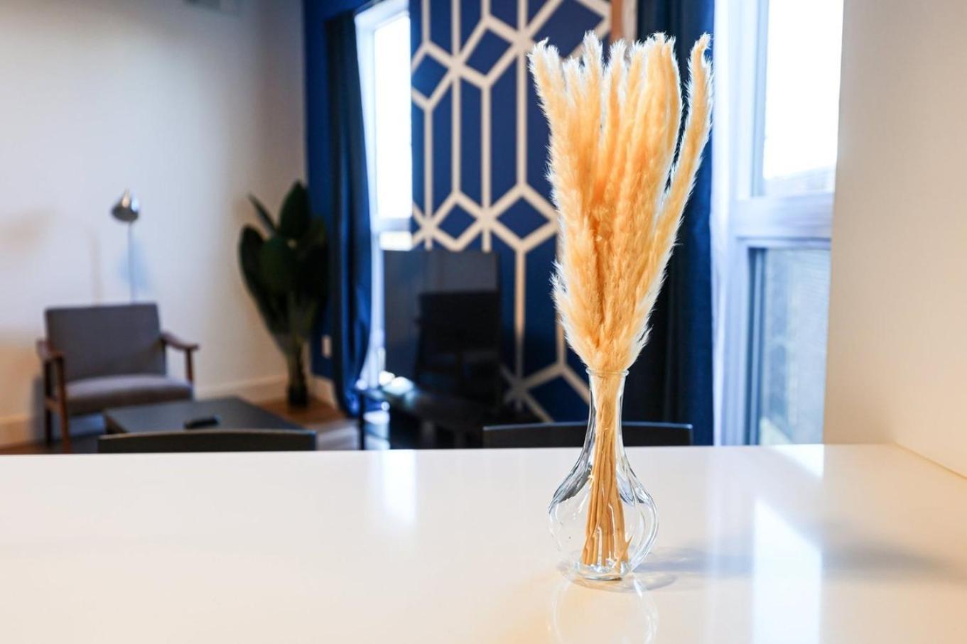 Modern Comfort 1bed-aptinbrewerytownwifi Philadelphia